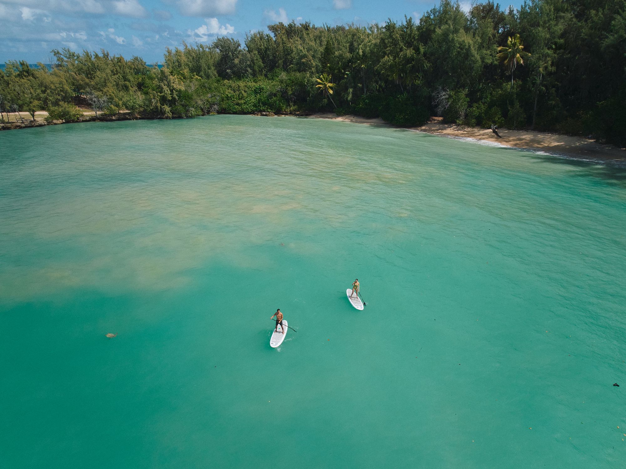 Aerial view of two paddleboarders on a turquoise bay edged by trees and a sandy beach